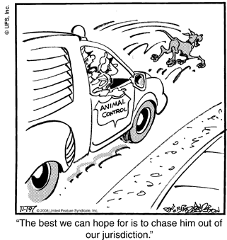 marmaduke